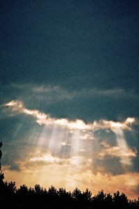 86_86daniele-marilook-2310005