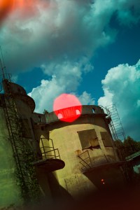 86_daniele-marimg5031